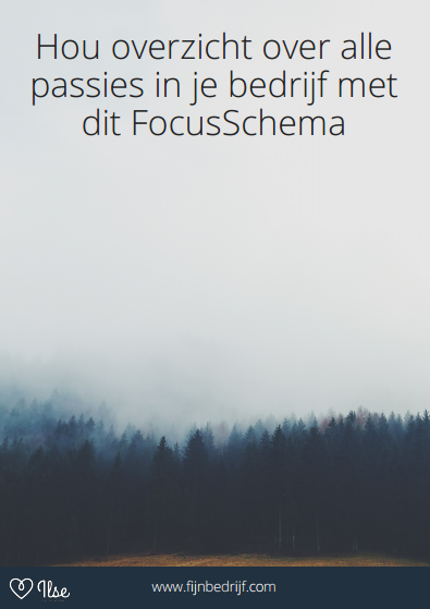 Download het gratis e-book Hou overzicht over alle passies in je bedrijf met dit Focusschema