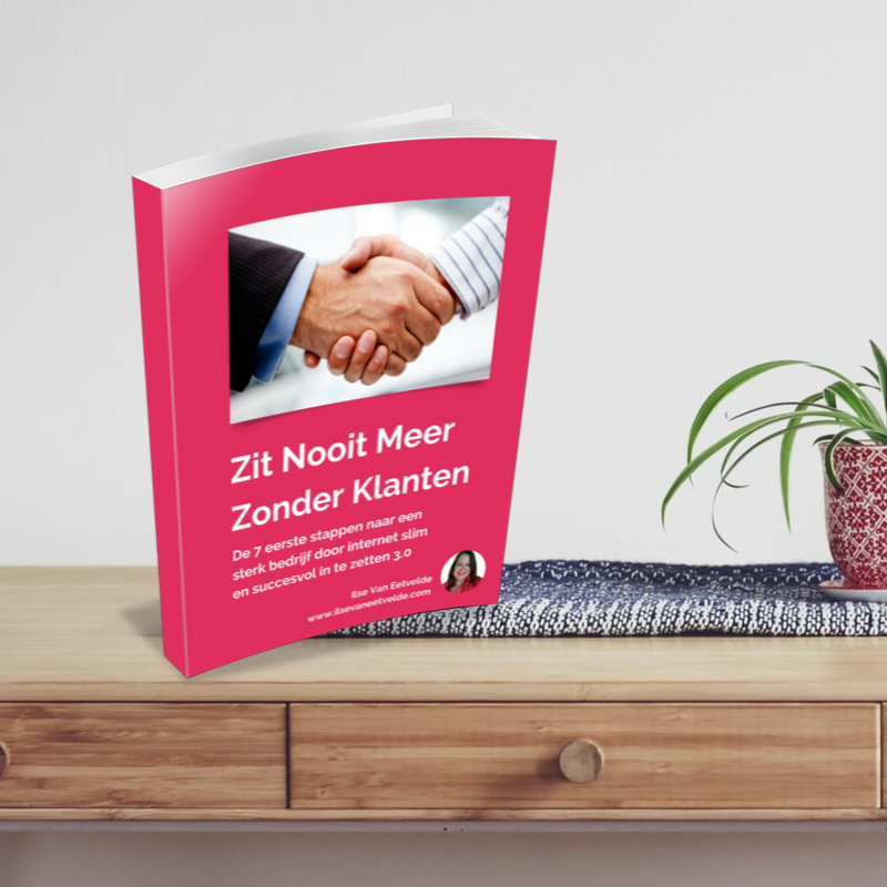 Download gratis het stappenplan Zit Nooit Meer Zonder Klanten op www.ilsevaneetvelde.com