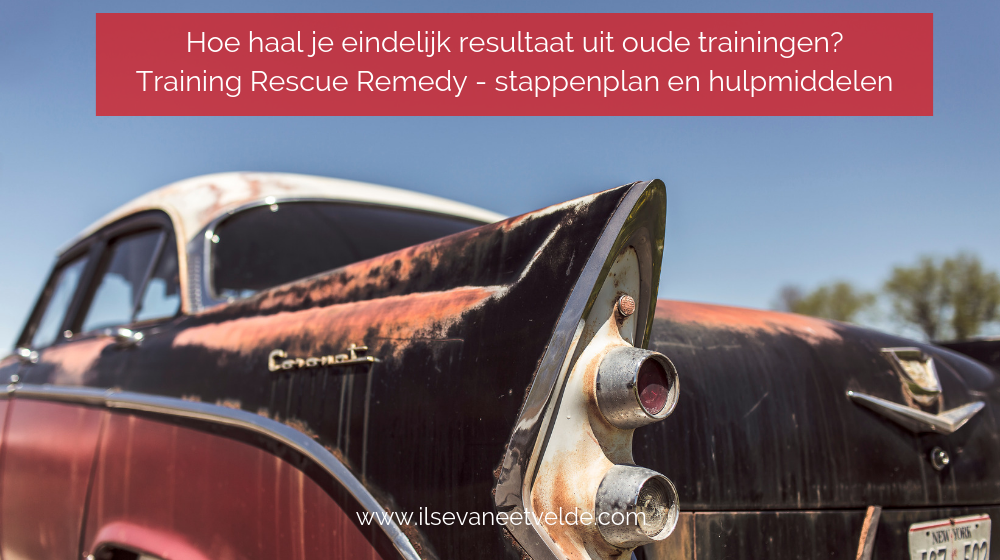 Hoe haal je eindelijk resultaat uit oude trainingen? Training Rescue Remedy - stappenplan en hulpmiddelen www.ilsevaneetvelde.com