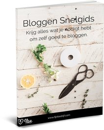 Download gratis de Bloggen Snelgids van Ilse Van Eetvelde
